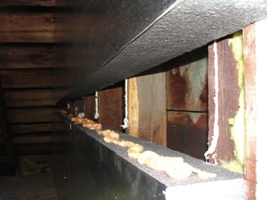 An effective attic insulation system in a Pittsfield home